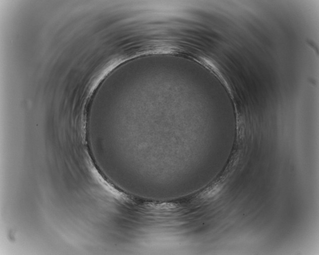 X0000102820851200808181244