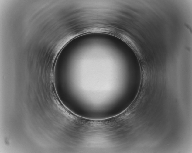 X0000102820852200808181244