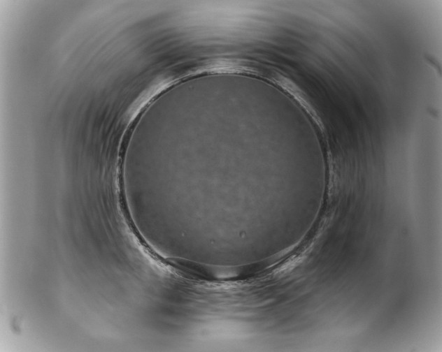 X0000102820853200808181244