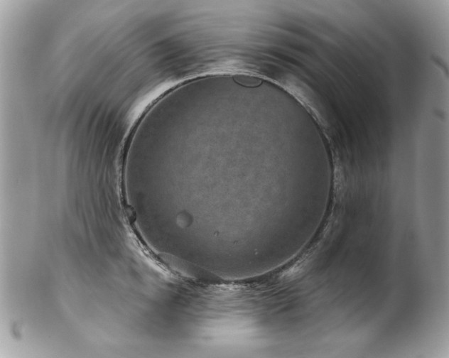 X0000102820854200808181244