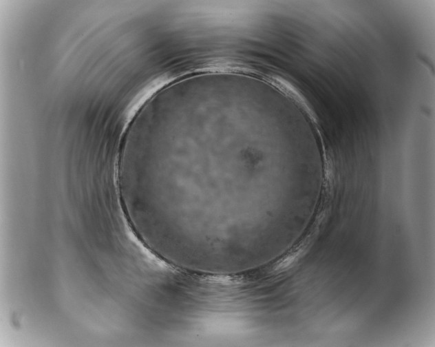 X0000102820855200808181244