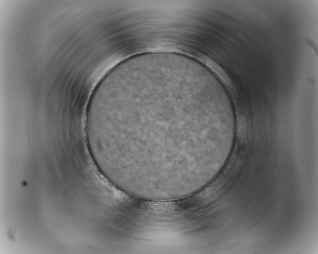 X0000102820856200808181244