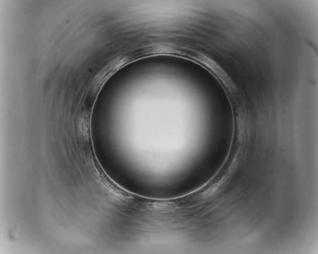 X0000102820857200808181244