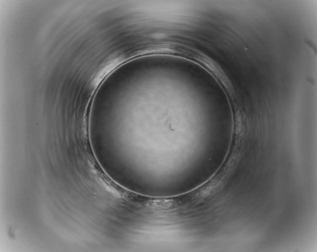 X0000102820858200808181244