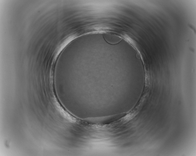 X0000102820859200808181244