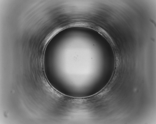 X0000102820860200808181244