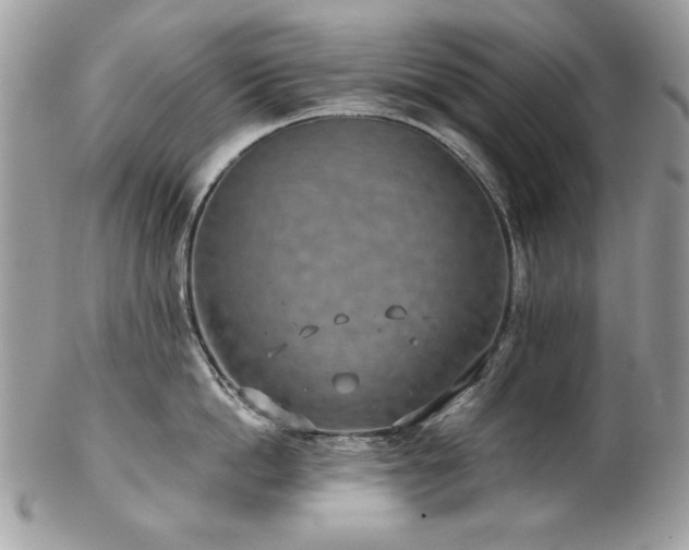 X0000102820862200808181244
