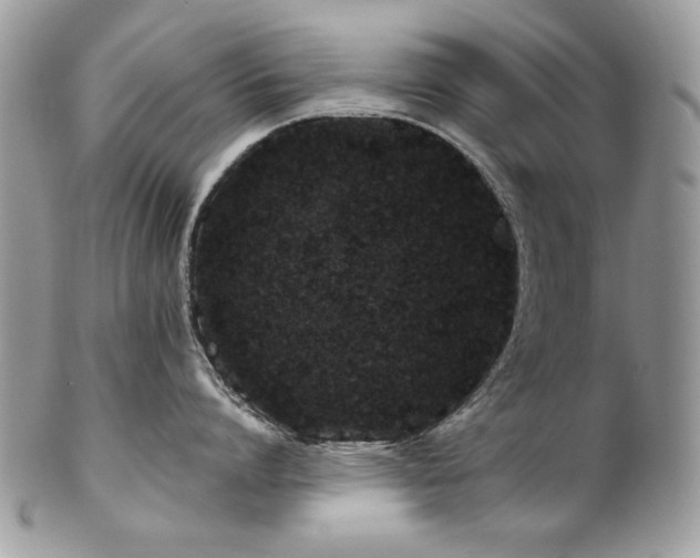 X0000102820864200808181244