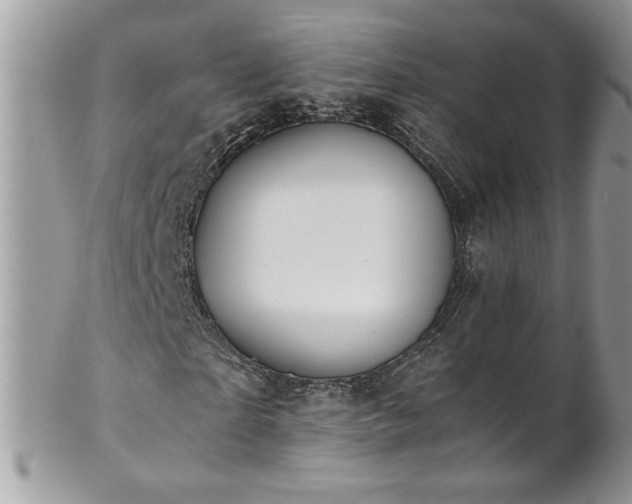 X0000102820865200808181244