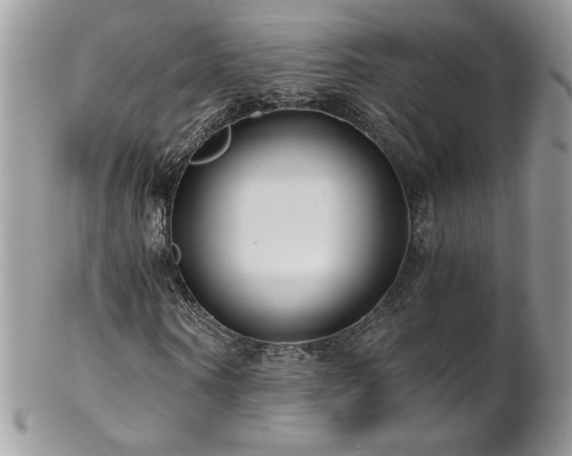 X0000102820866200808181244