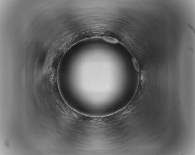 X0000102820867200808181244