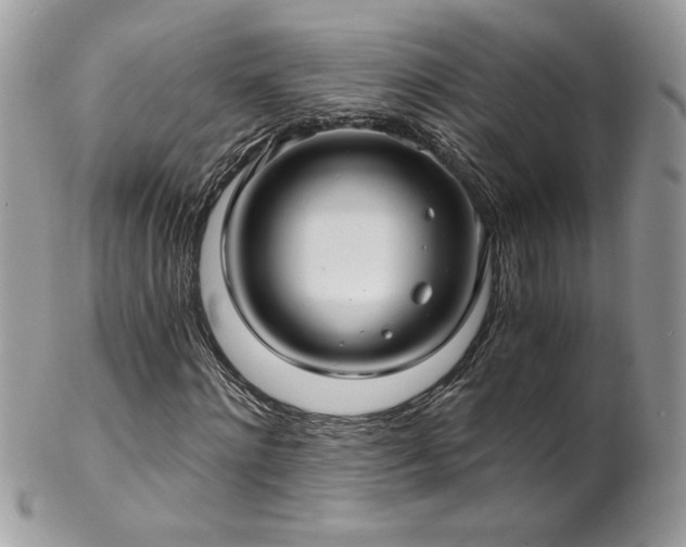 X0000102820868200808181244