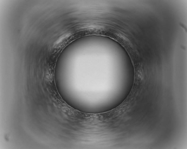 X0000102820869200808181243
