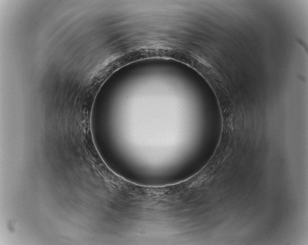 X0000102820870200808181243