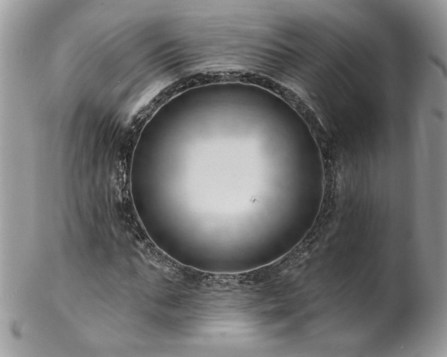 X0000102820871200808181243