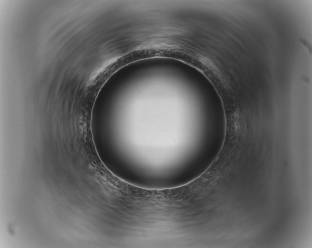 X0000102820872200808181243