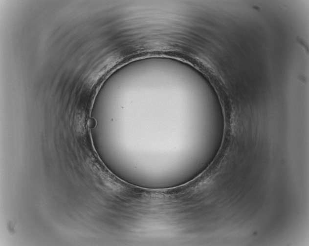 X0000102820873200808181243