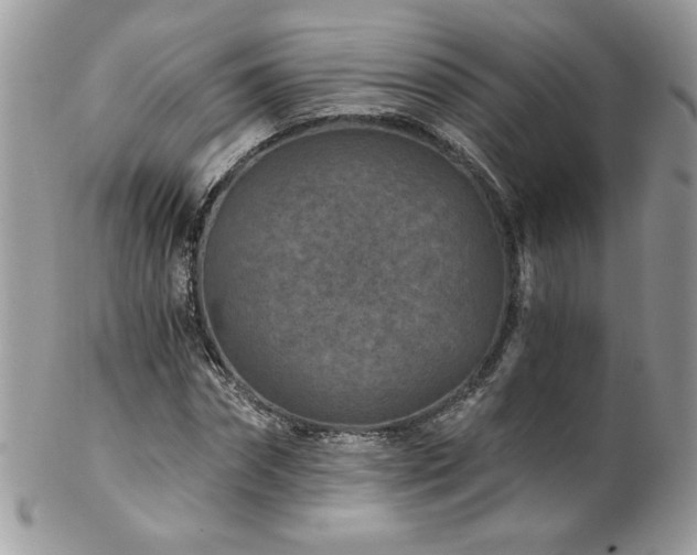 X0000102820874200808181243