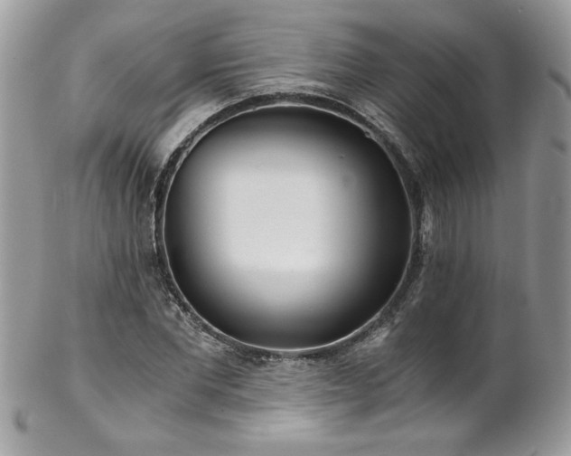 X0000102820877200808181243