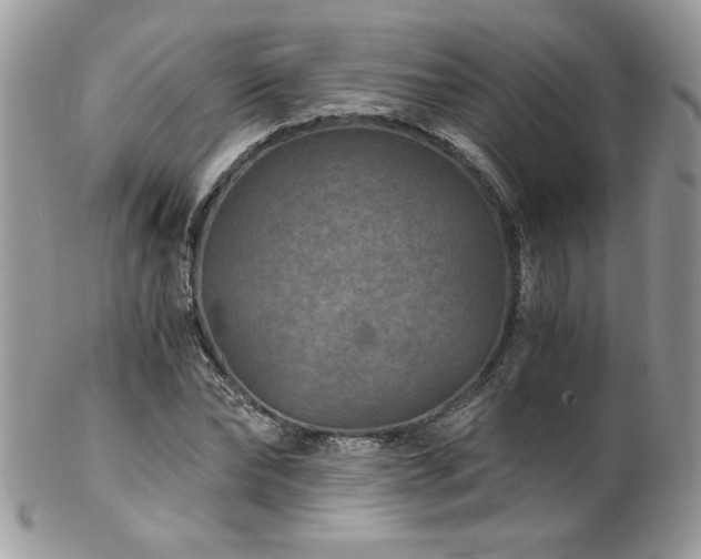 X0000102820878200808181243