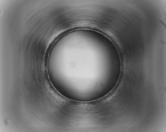 X0000102820880200808181243
