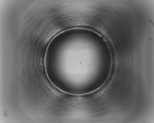 X0000102820881200808181243
