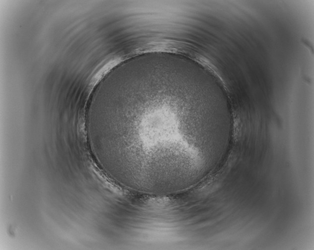 X0000102820882200808181243
