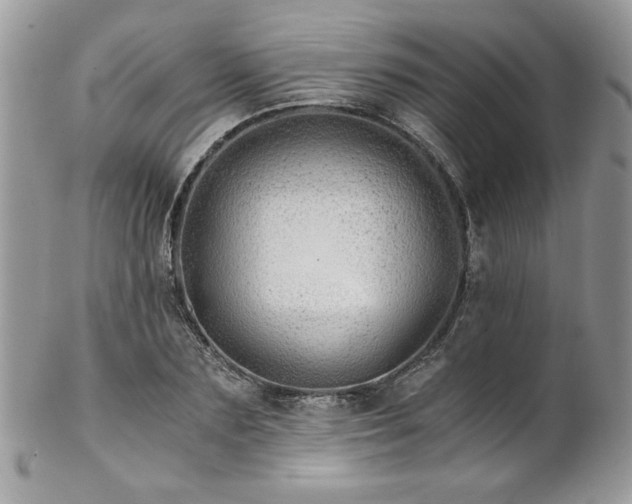 X0000102820883200808181243