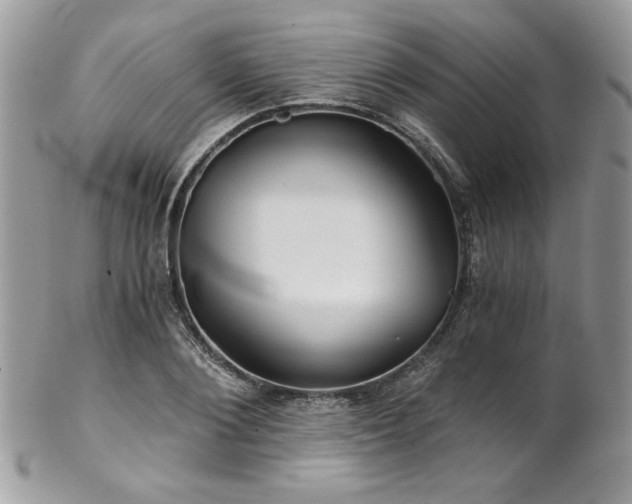 X0000102820884200808181243