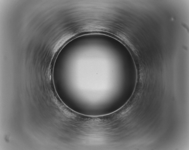 X0000102820885200808181243