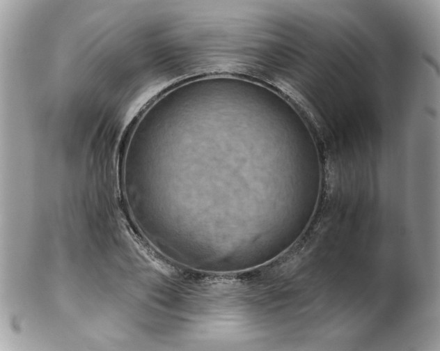 X0000102820886200808181243