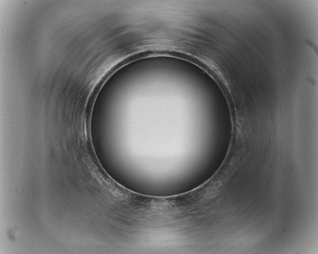 X0000102820887200808181243