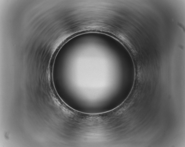 X0000102820888200808181243