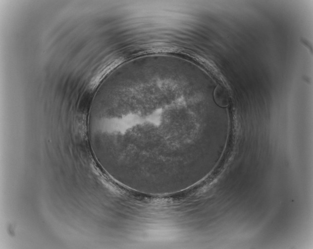 X0000102820889200808181243
