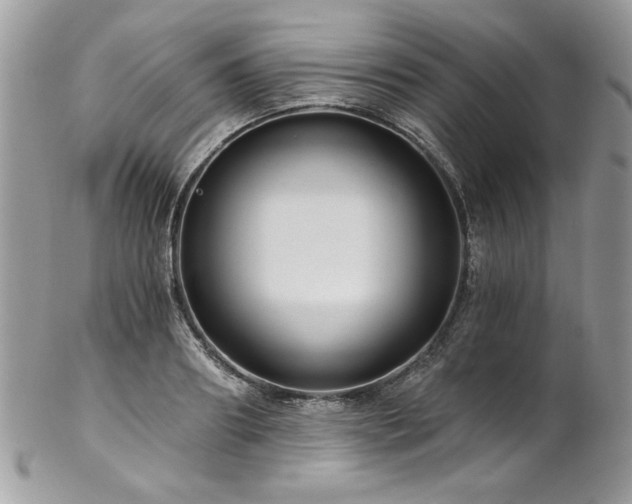 X0000102820890200808181243