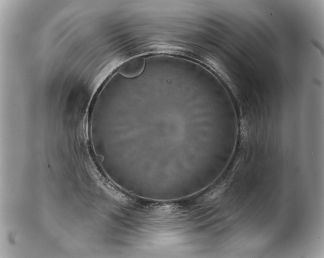 X0000102820891200808181243