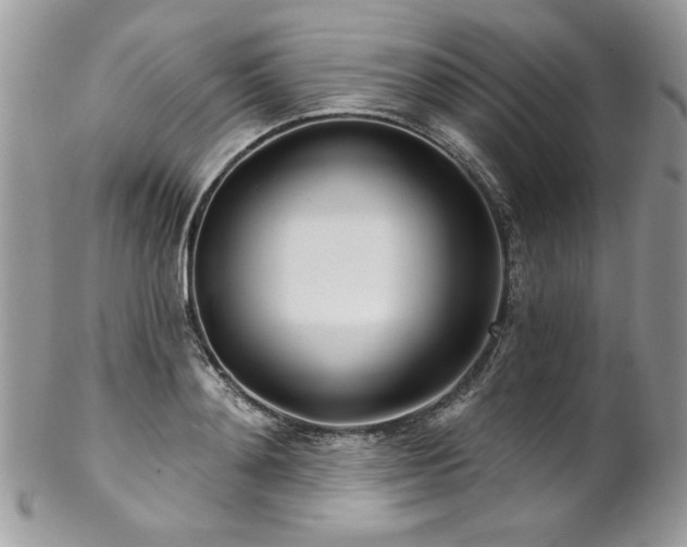 X0000102820892200808181243