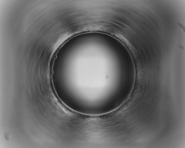 X0000102820894200808181243