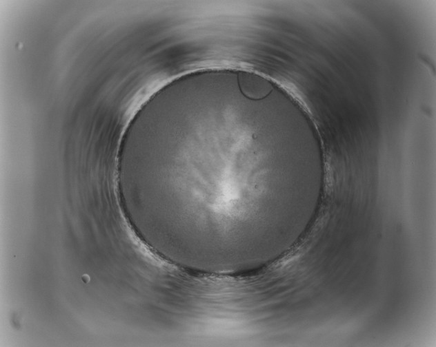 X0000102820895200808181243