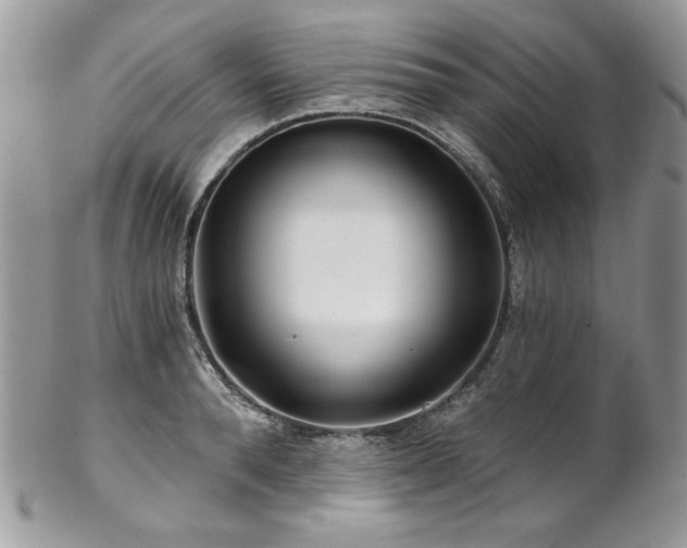 X0000102820896200808181243