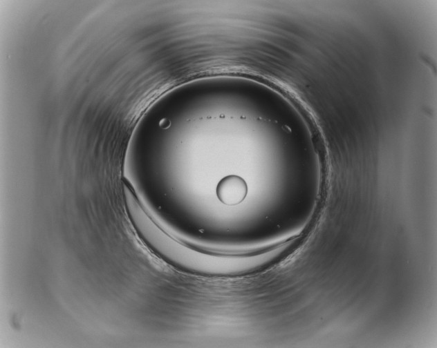 X0000102820897200808181243