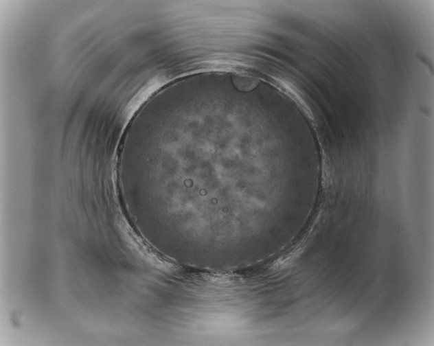 X0000102820899200808181243