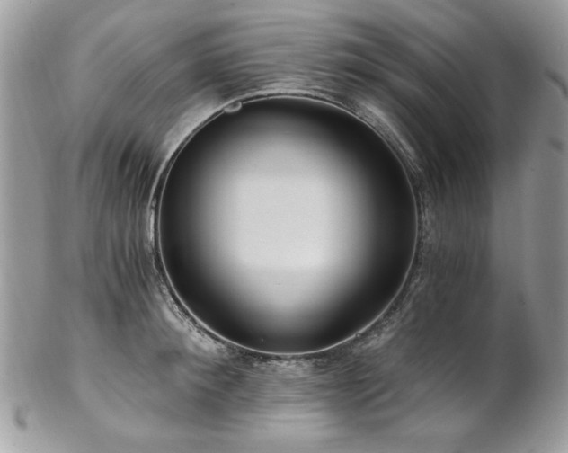 X0000102820900200808181243