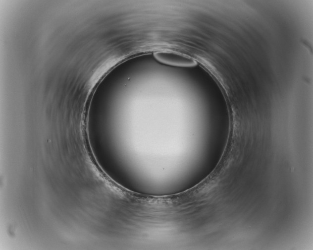 X0000102820901200808181243