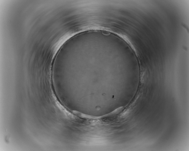 X0000102820903200808181243
