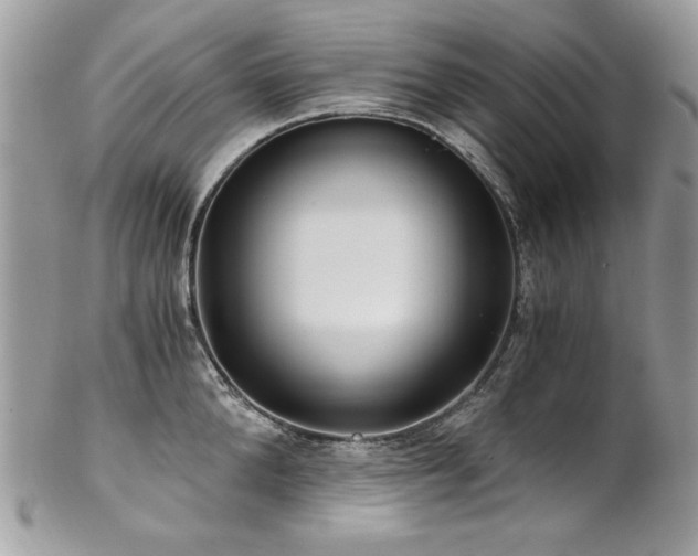 X0000102820904200808181243