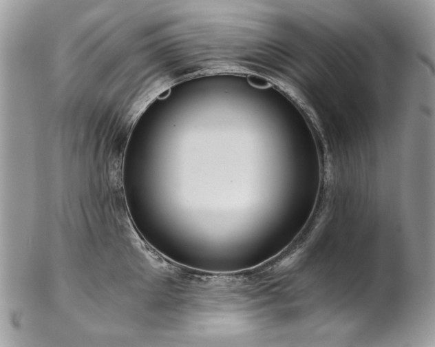 X0000102820905200808181243
