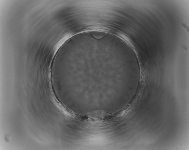 X0000102820907200808181243