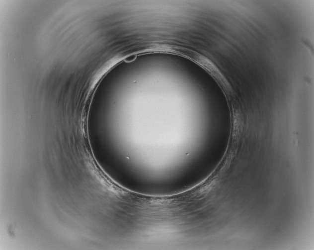 X0000102820908200808181243