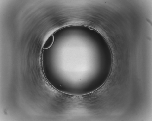 X0000102820912200808181243